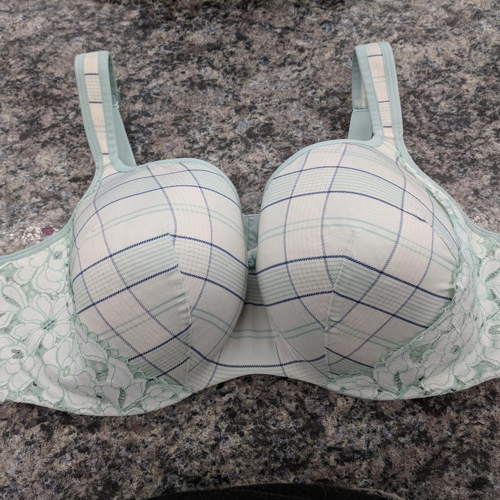 Lane Bryant bra